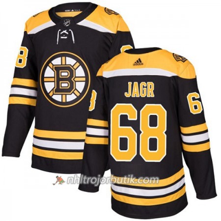 Män Ishockey Boston Bruins Tröja Jaromir Jagr 68 Adidas 2017-2018 Svart Authentic